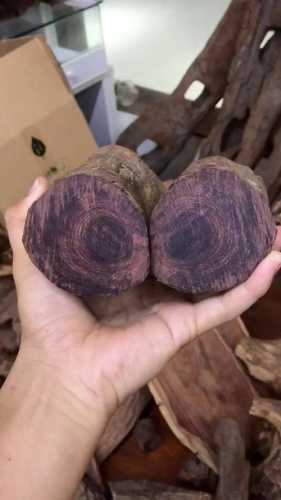 海南黄花梨紫油梨特征,高密度料的产地与外观特点 海南黄花梨紫油梨特征,高密度料的产地与外观特点