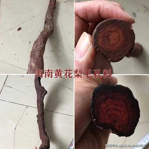 海南黄花梨棕眼特征，产地差异带来毛孔粗细变化