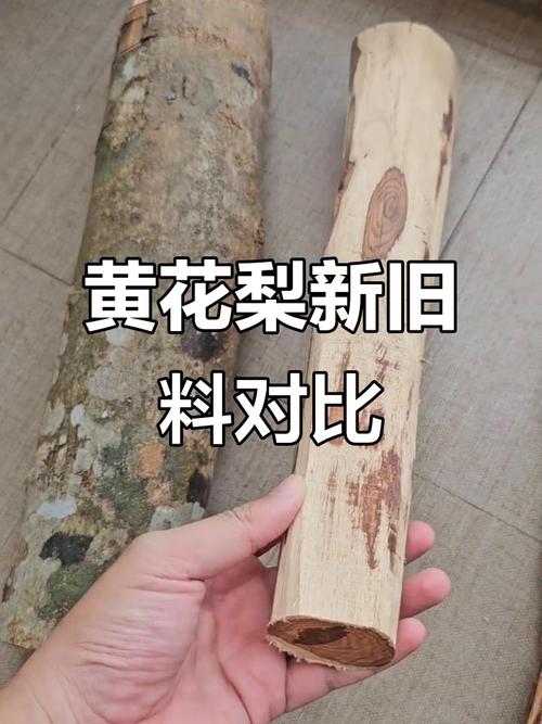 海黄大料与小料产地差异,纹理稳定性对比研究 海黄大料与小料产地差异,纹理稳定性对比研究