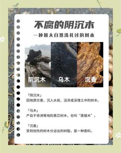 阴沉木核心产地溯源,水域地质环境对料质的影响解析 阴沉木核心产地溯源,水域地质环境对料质的影响解析