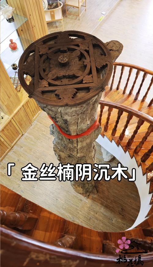金丝阴沉木赏析,炭化后金丝光泽的形成原因详解 金丝阴沉木赏析,炭化后金丝光泽的形成原因详解