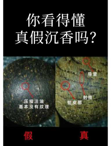 阴沉木香味辨识要点，不同产区木料气味的区分技巧