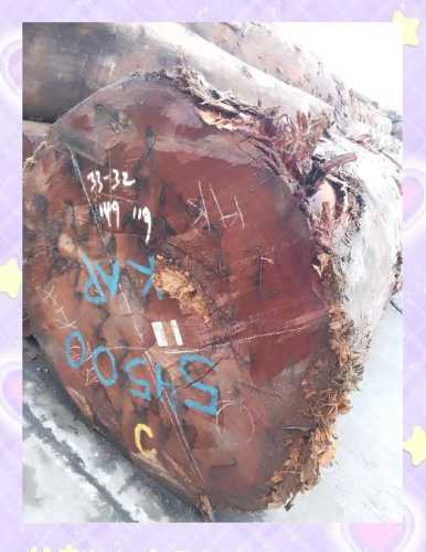 红椿阴沉木产地与特征,木料色泽及肌理识别要点 红椿阴沉木产地与特征,木料色泽及肌理识别要点