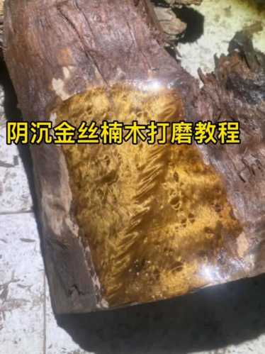 阴沉木原料皮壳识别,淤泥包裹形成的原生外皮特征 阴沉木原料皮壳识别,淤泥包裹形成的原生外皮特征