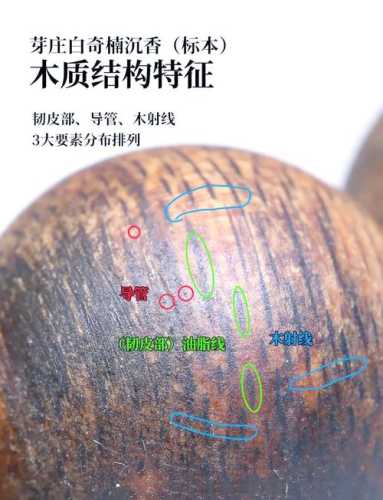 海南莞香沉香产地溯源,本土白木香结香与香韵特征解析 海南莞香沉香产地溯源,本土白木香结香与香韵特征解析