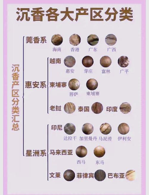 星洲系沉香产地分布,鹰木树种坚实质地与醇厚奶香特点 星洲系沉香产地分布,鹰木树种坚实质地与醇厚奶香特点