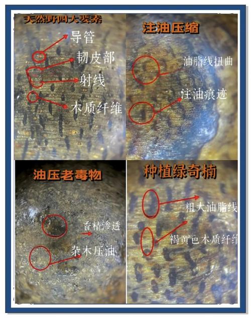 达拉干沉香产区解析,软丝油脂与浓郁乳香的料质特征 达拉干沉香产区解析,软丝油脂与浓郁乳香的料质特征