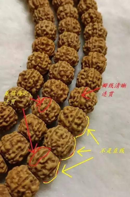 印尼小金刚菩提产区解读,热带雨林孕育的肉纹皮质特质 印尼小金刚菩提产区解读,热带雨林孕育的肉纹皮质特质