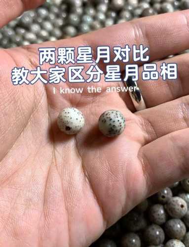 海南与东南亚星月对比,不同产地星点疏密与玉化能力差异 海南与东南亚星月对比,不同产地星点疏密与玉化能力差异