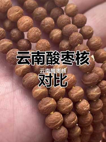 莲花菩提产区解析，酸枣核原生产地与骨质纹路形成原理