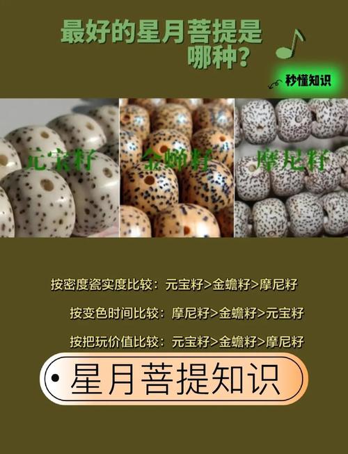 菩提子产区与油性关系,水土气候如何影响盘玩包浆效果 菩提子产区与油性关系,水土气候如何影响盘玩包浆效果