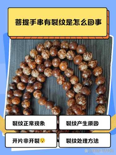 各类菩提开裂成因,产地环境决定籽料稳定性与抗裂特性 各类菩提开裂成因,产地环境决定籽料稳定性与抗裂特性
