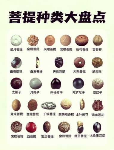 各类菩提开裂成因,产地环境决定籽料稳定性与抗裂特性 各类菩提开裂成因,产地环境决定籽料稳定性与抗裂特性