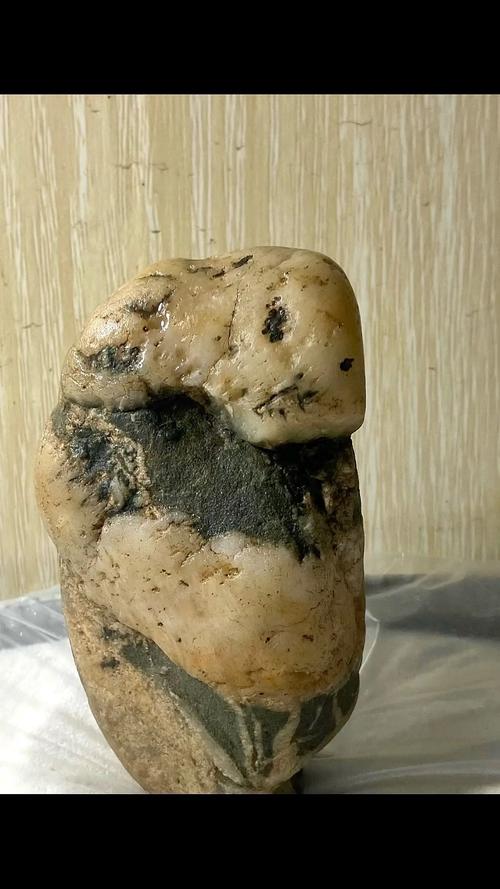 挑选象形石核心要点,象形石贵在天然不刻意雕琢 挑选象形石核心要点,象形石贵在天然不刻意雕琢