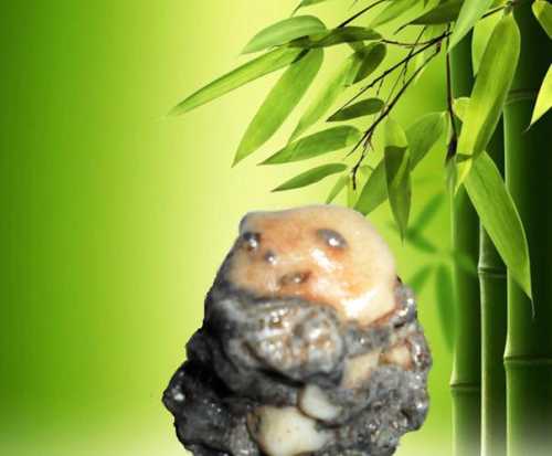 收藏象形石不必求大,小巧精品象形石也有看点 收藏象形石不必求大,小巧精品象形石也有看点