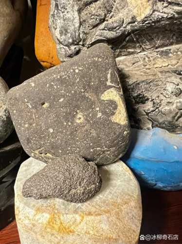 收藏象形石不必求大,小巧精品象形石也有看点 收藏象形石不必求大,小巧精品象形石也有看点