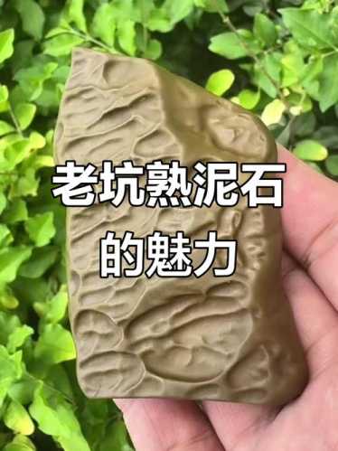 泥石收藏理性看待，不要盲目追捧稀有泥石品种