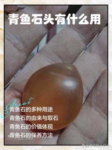 石友分享鱼子石收藏经验,小众赏石品类怎么入门 石友分享鱼子石收藏经验,小众赏石品类怎么入门