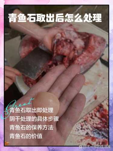 鱼子石清理方法,轻柔清理保护鱼子石原生皮壳 鱼子石清理方法,轻柔清理保护鱼子石原生皮壳