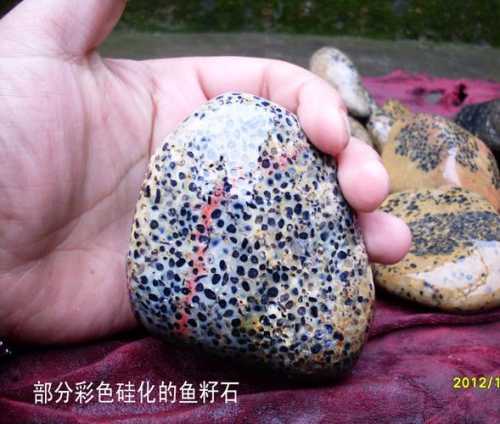 新手选购鱼子石,看颗粒分布辨别鱼子石真假 新手选购鱼子石,看颗粒分布辨别鱼子石真假