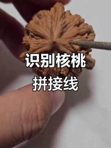 市场造假文玩核桃,染色做旧核桃识别方法 市场造假文玩核桃,染色做旧核桃识别方法