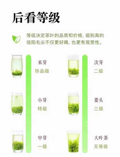 茶叶品鉴入门,新手学会分辨茶叶品质好坏 茶叶品鉴入门,新手学会分辨茶叶品质好坏