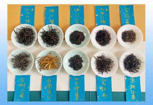 茶叶品鉴看干茶、汤色、叶底,三步看懂茶叶 茶叶品鉴看干茶、汤色、叶底,三步看懂茶叶