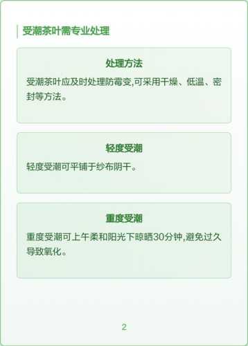 存放不当毁掉好茶，茶叶储存防潮避光实操方法