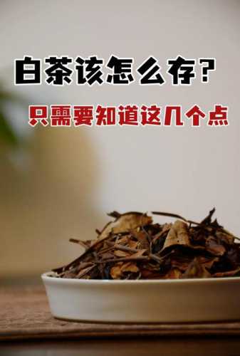 存放不当毁掉好茶，茶叶储存防潮避光实操方法