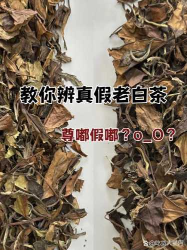 市场仿老茶常见手段,做旧老茶识别小技巧 市场仿老茶常见手段,做旧老茶识别小技巧