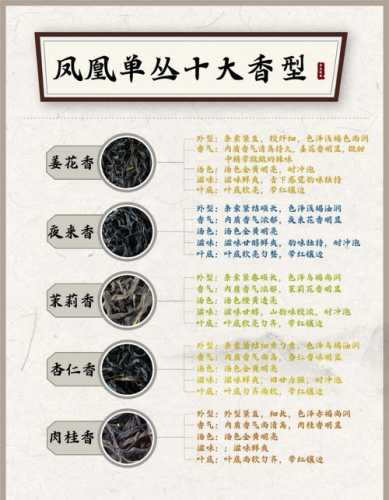 不同品类茶叶品鉴要点，香气滋味怎么分辨