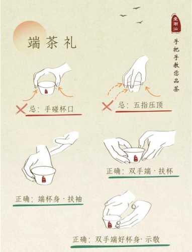 茶艺实操避坑,新手泡茶容易犯的几个错误 茶艺实操避坑,新手泡茶容易犯的几个错误