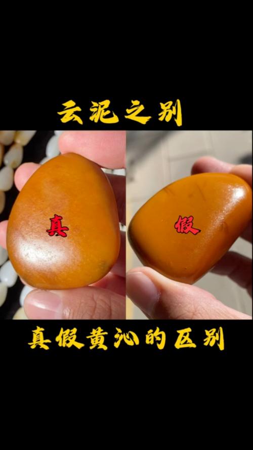 杂项藏品材质鉴定,区分天然材质与人工仿料 杂项藏品材质鉴定,区分天然材质与人工仿料