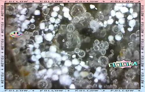 微观鉴藏入门，放大镜观察藏品细节的方法