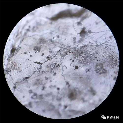 微观鉴藏避坑，不能只依靠微观特征下定论