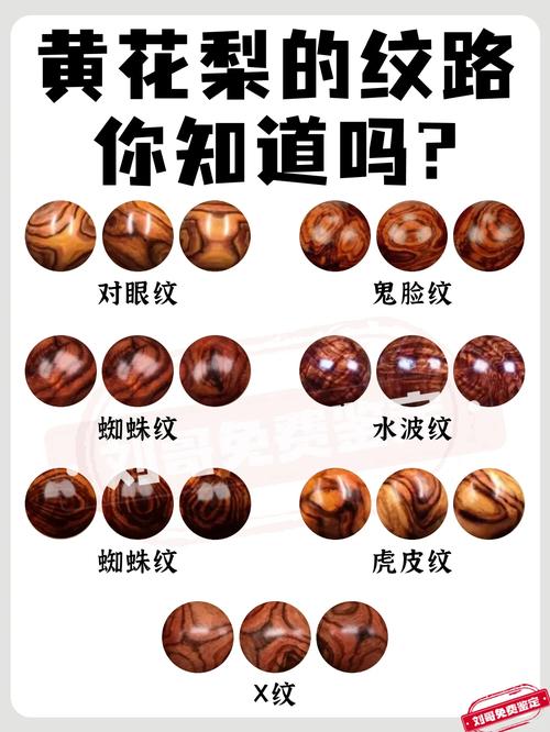 杂项微观鉴藏，木质、角质藏品微观特征识别