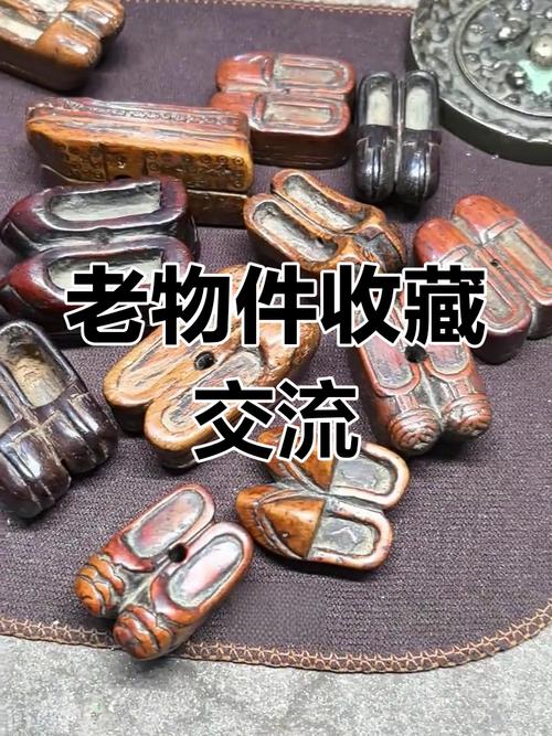 杂项微观鉴藏，木质、角质藏品微观特征识别