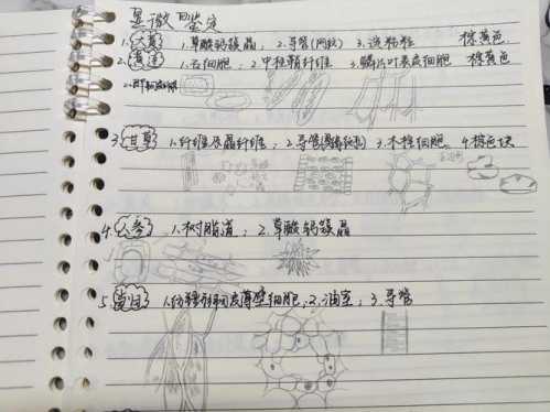 微观鉴藏心得，微观是辅助鉴定不是唯一依据