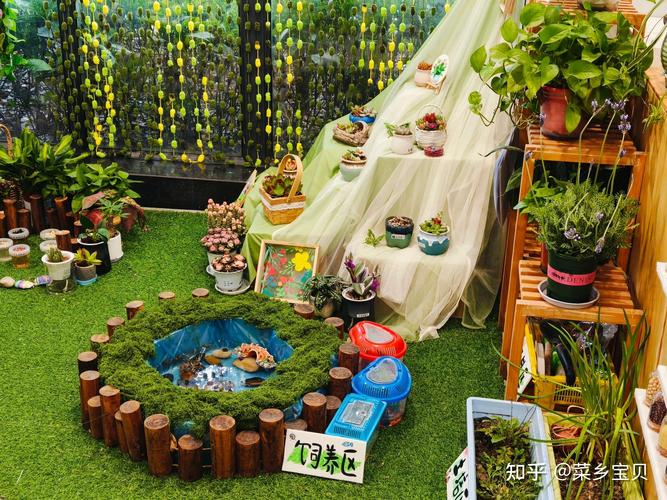 野趣微观玩法，在家搭建简易微观观察小空间