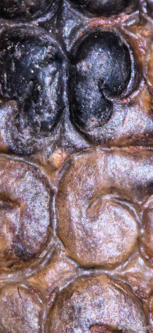 实景微观古玉,自然光实拍观察古玉沁色变化 实景微观古玉,自然光实拍观察古玉沁色变化